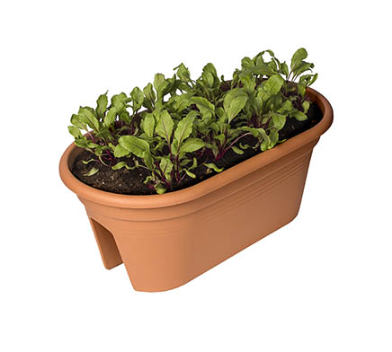 oval planter with cover