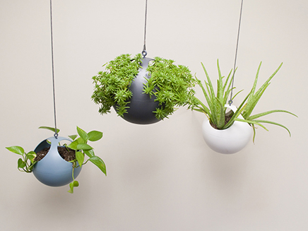 euro hanging planters group