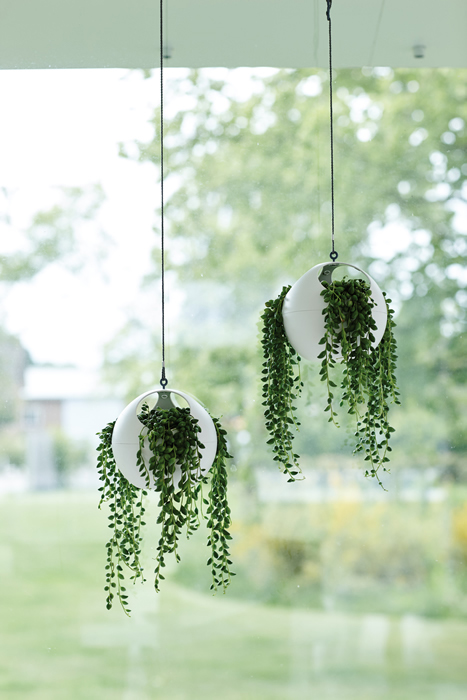 Euro Hanging Planters Come in Sets of Two