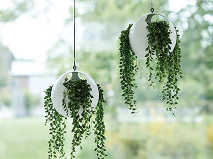 euro hanging planters come in sets of two
