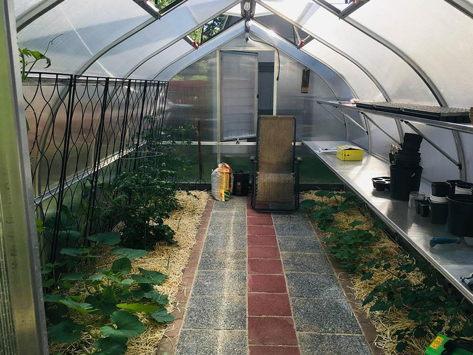 riga 5 greenhouse