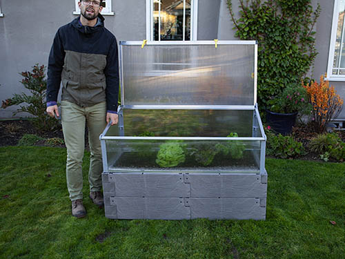 gray timber raised bed with cold frame and human for scale