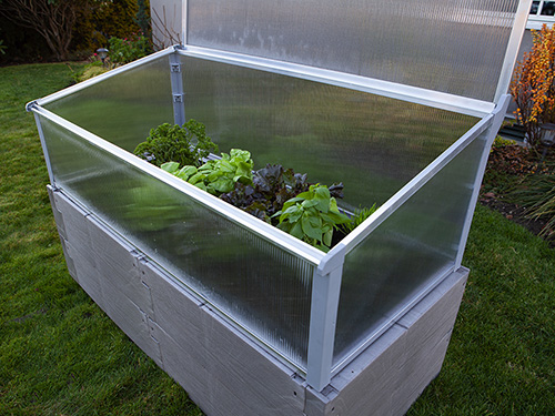 gray timber raised bed with cold frame top panel open