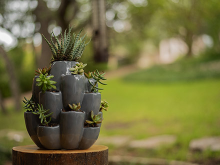 Grey Cacti Pot
