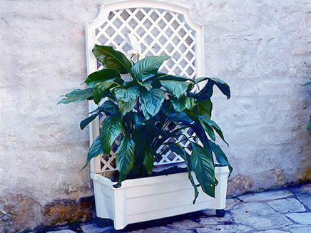 calypso planter image 1