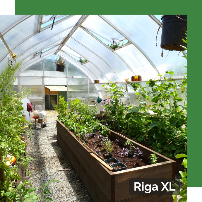 riga xl greenhouse