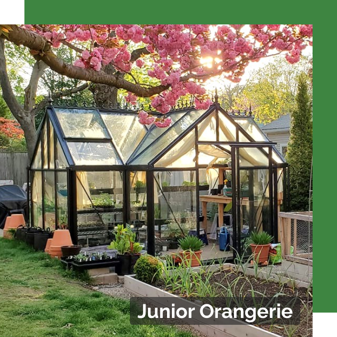 junior orangerie