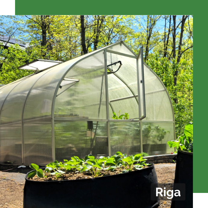 riga greenhouse