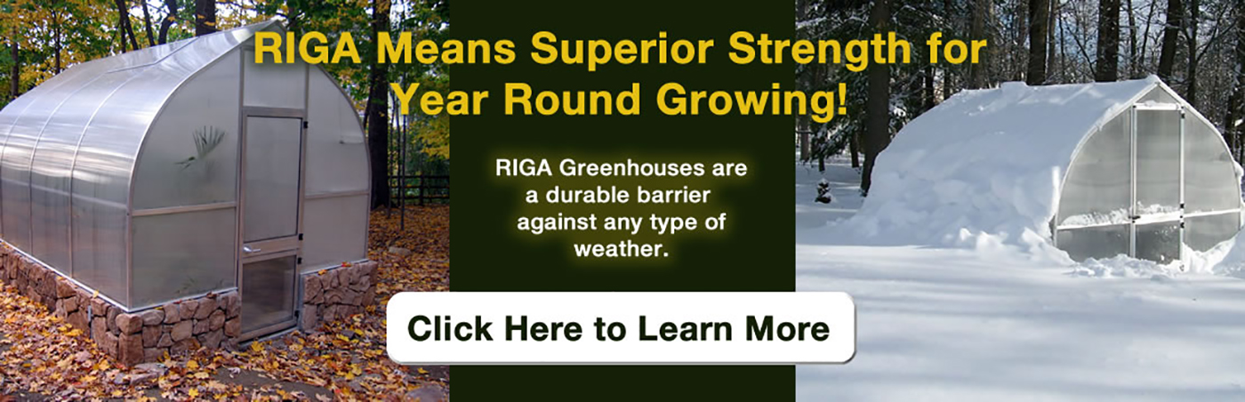 RIGA Greenhouses are durable agaunst any kind of weather