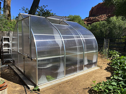 riga greenhouse - from Sage Sorenson