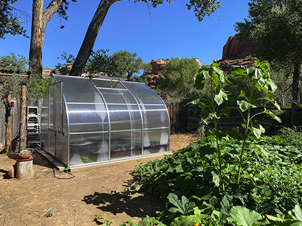 riga greenhouse - from Sage Sorenson