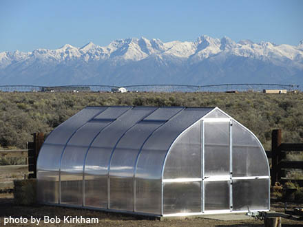 riga greenhouse - from Bob K