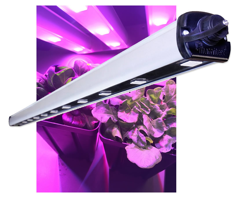 Illumitex Eclipse GEN2 N Bar LED Grow Light