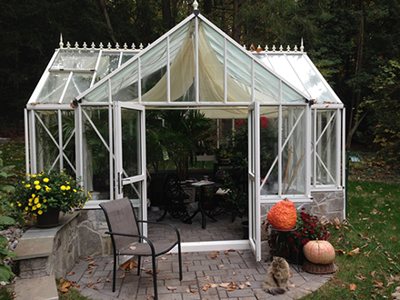 Royal Victorian Antique Orangerie Greenhouse in Use