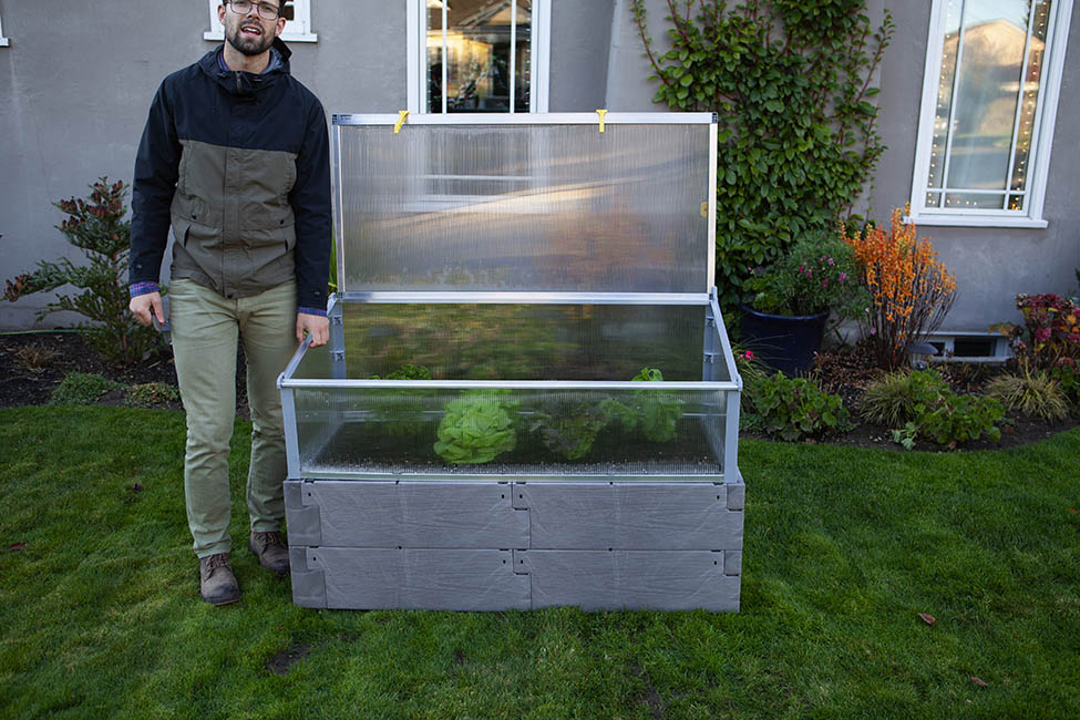 gray timber raised bed with cold frame and human for scale