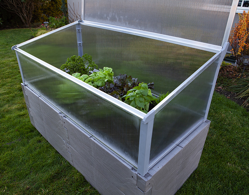 gray timber raised bed with cold frame top panel open