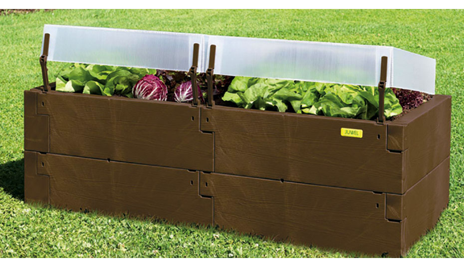 Timber raised bed double brown