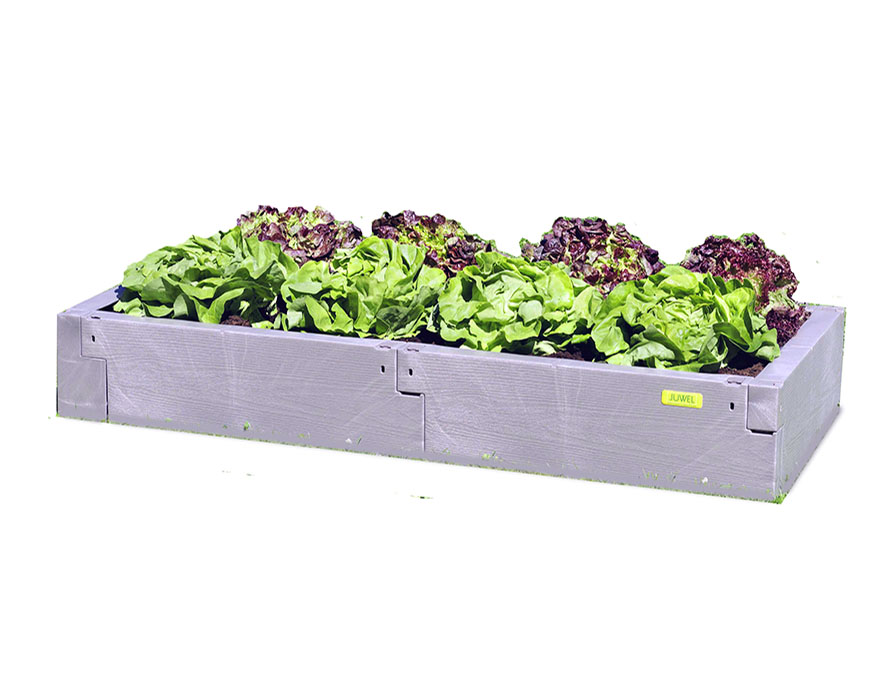 Timber Raised Bed Single Level Knock Out Photo