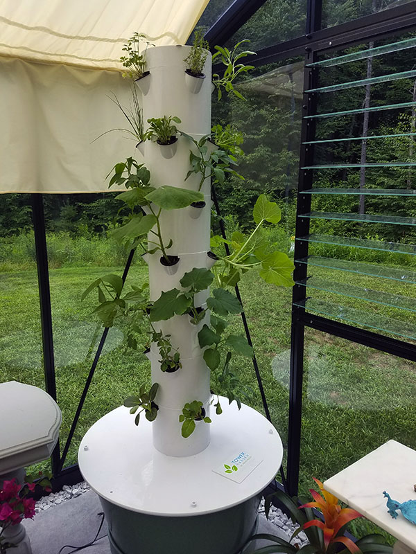 Hydroponic in Victorian Greenhouse vi46 from customer Ron P.