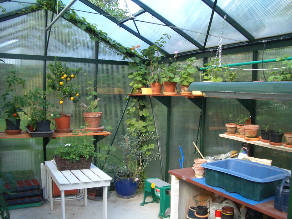 Victorian Greenhouse vi34