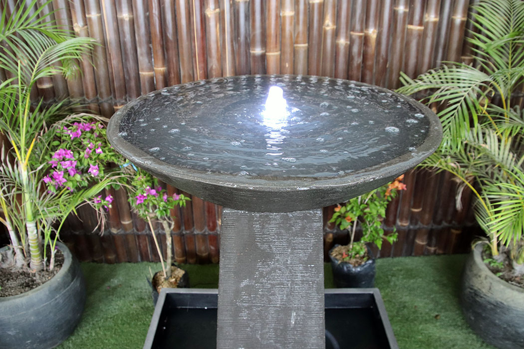 aquarius fountain