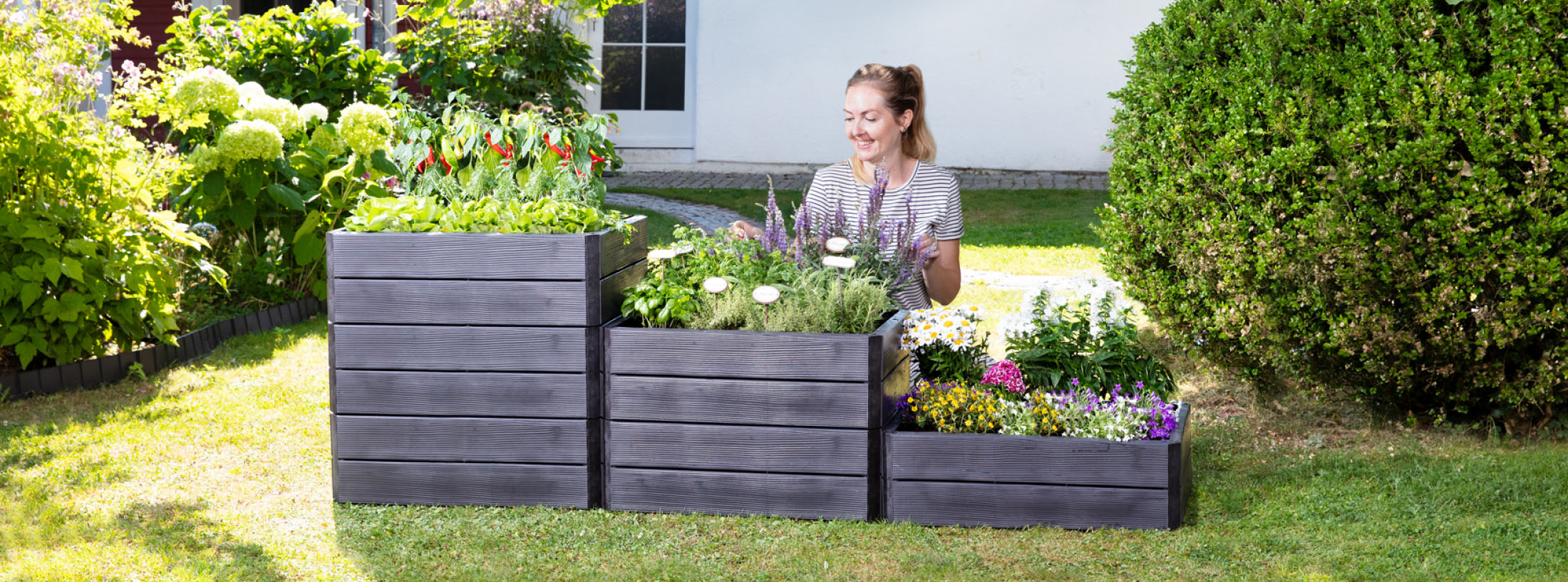 raised beds thumbnail grid page banner