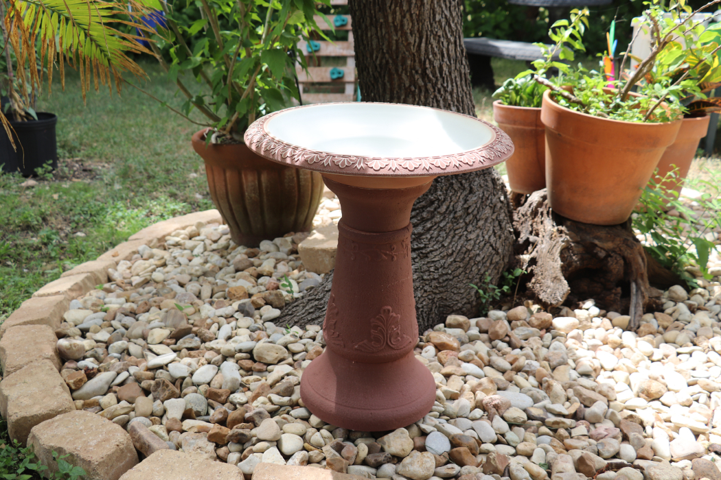 scroll vine bird bath