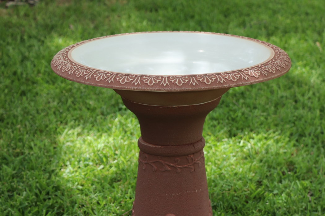 scroll vine bird bath