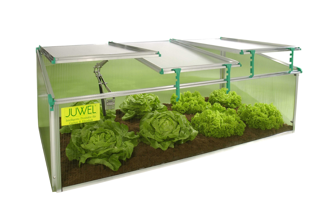 biostar 1500 cold frame