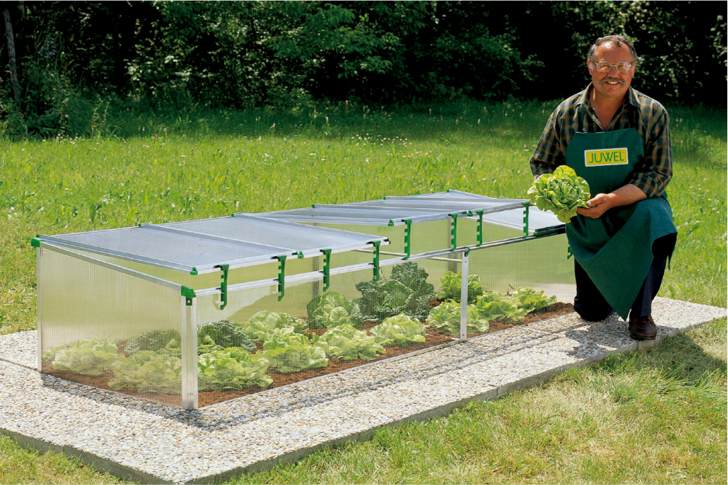 biostar 1500 cold frame