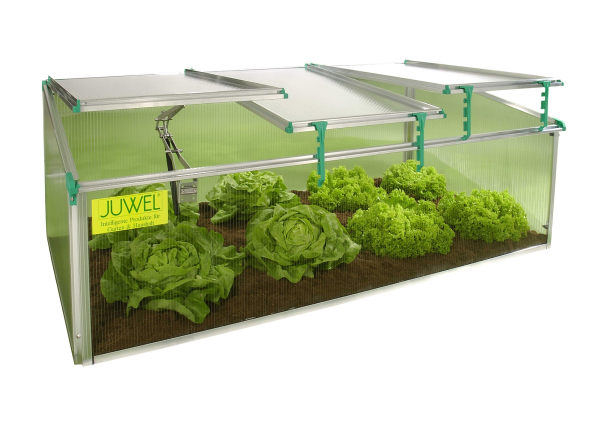 biostar 1500 cold frame