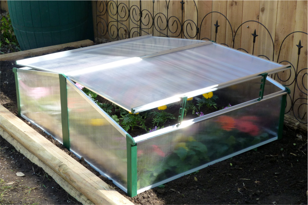 double cold frame