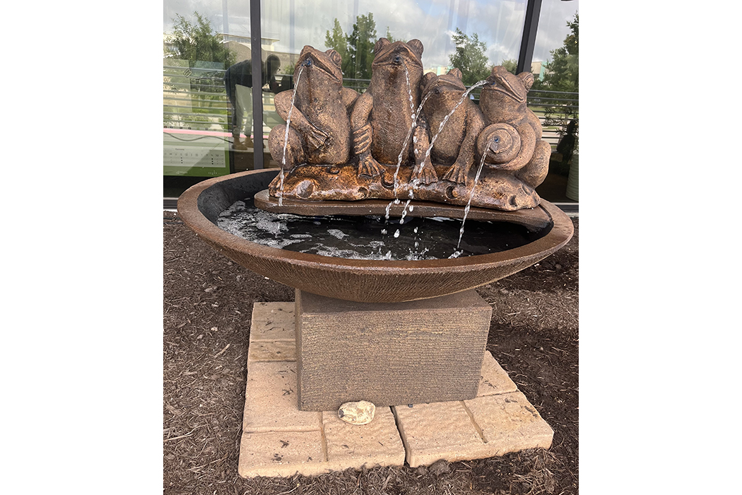 frog in the bowl fountain
