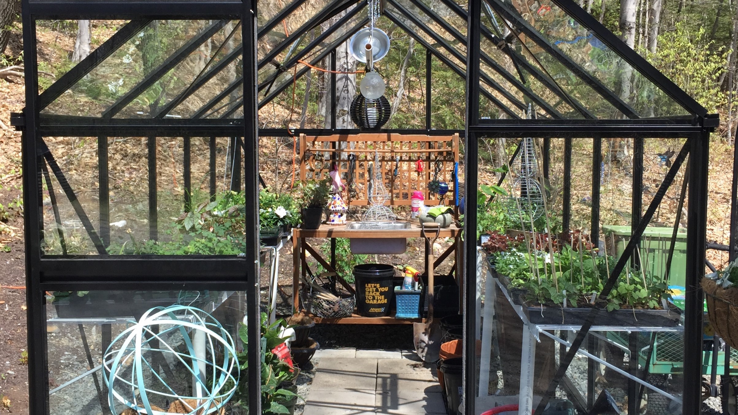 junior victorian greenhouse