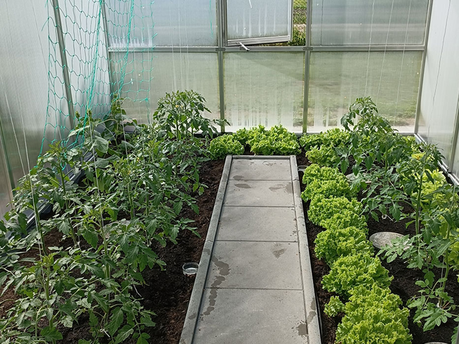 nelke pro 4 greenhouse Interior View