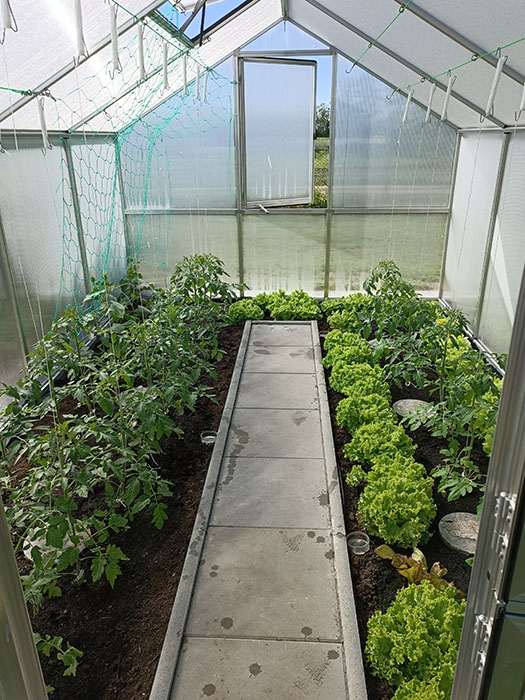 nelke pro 4 greenhouse Interior View