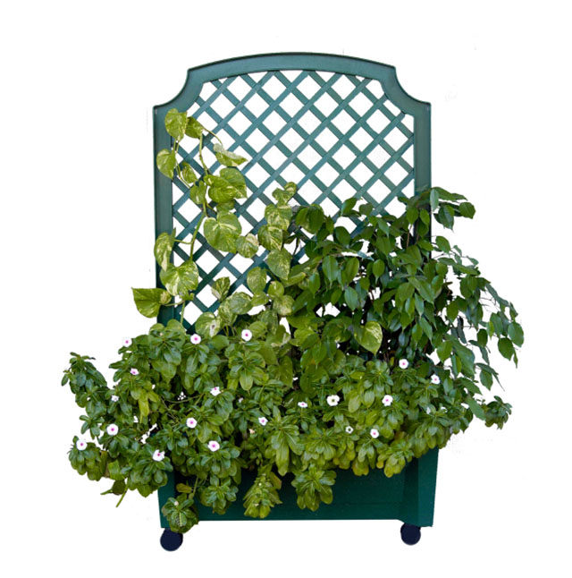 calypso planter green