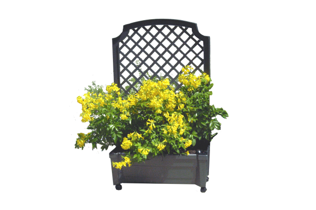 calypso planter