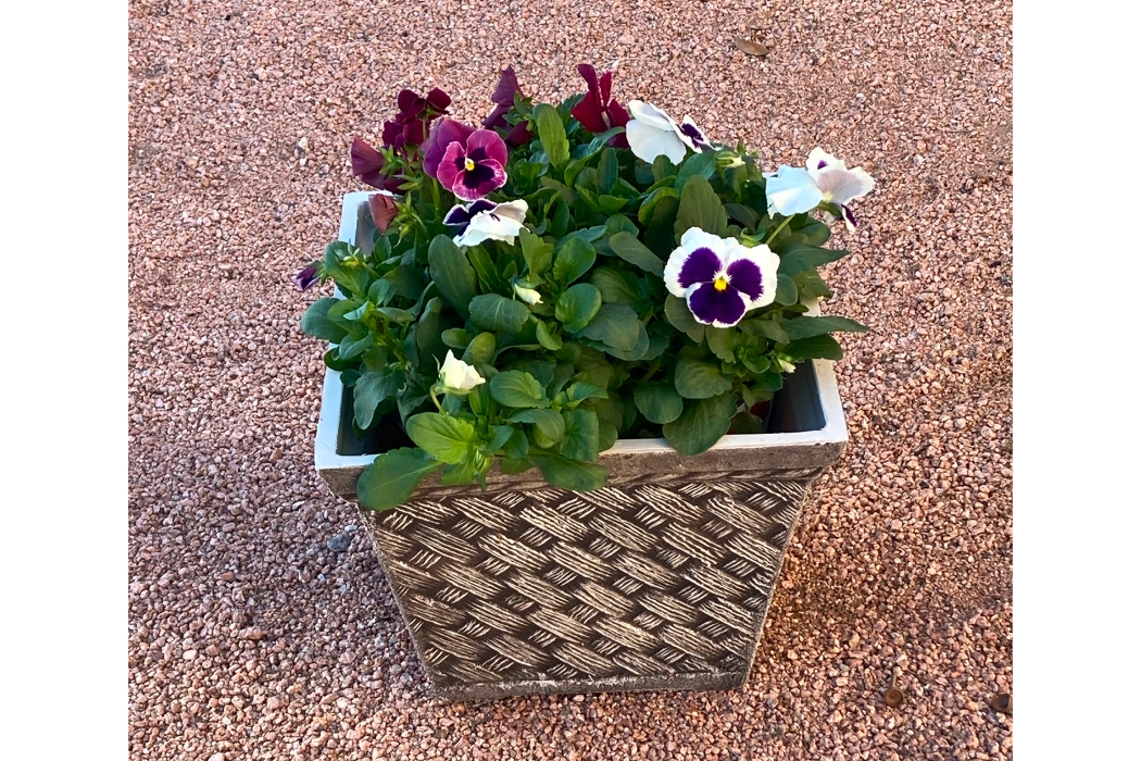 square set planters