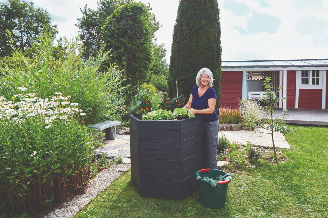 hexagonal raised bed