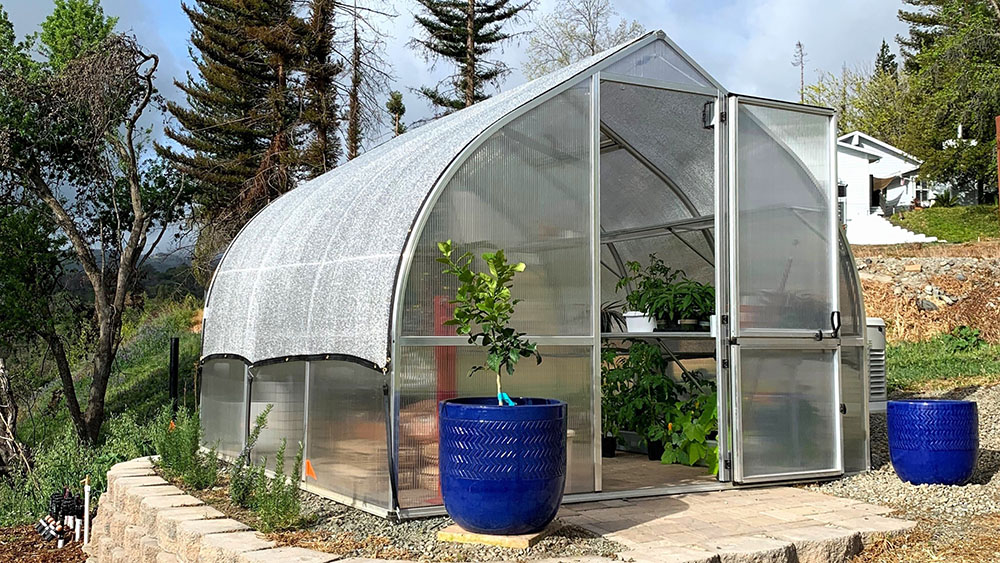 RIGA greenhouse