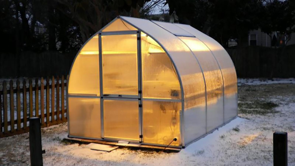RIGA 's' greenhouse