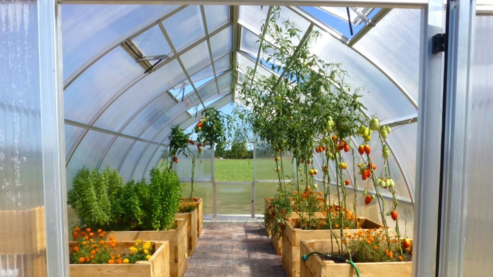 RIGA XL greenhouse