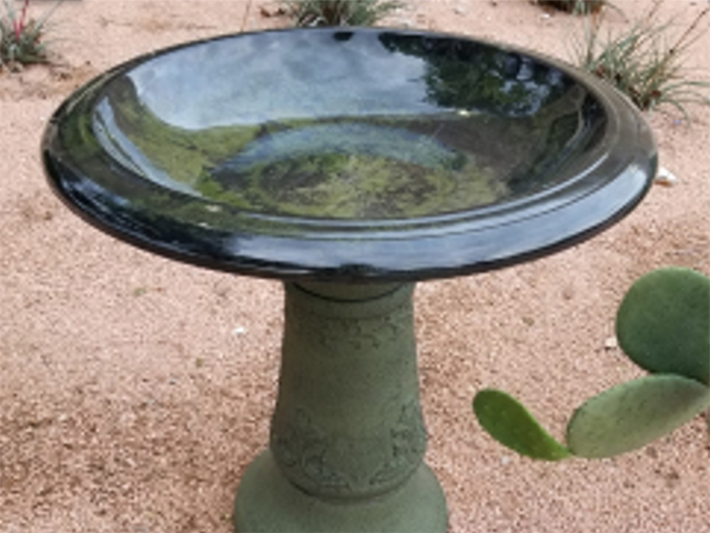 view bird baths