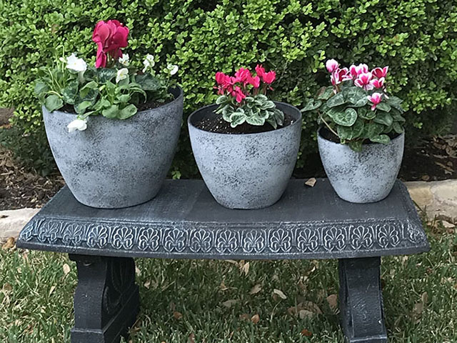 view planters and pots
