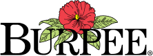 Burpee