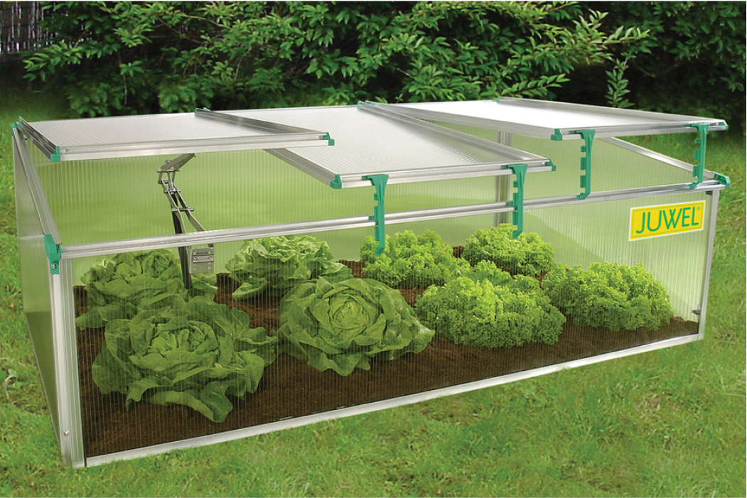 biostar 1500 cold frame