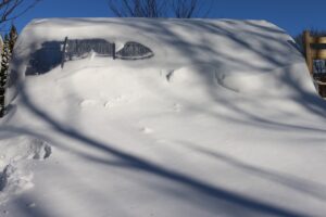 greenhouse in snow