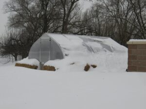 riga greenhouse in snow