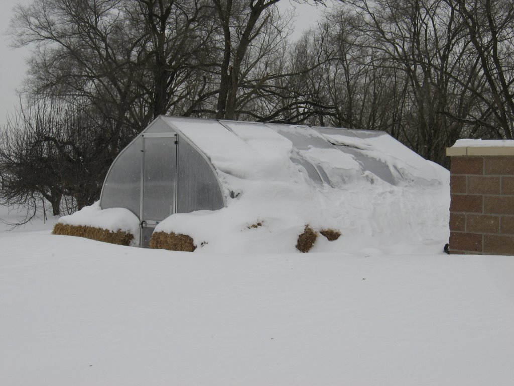riga greenhouse in snow